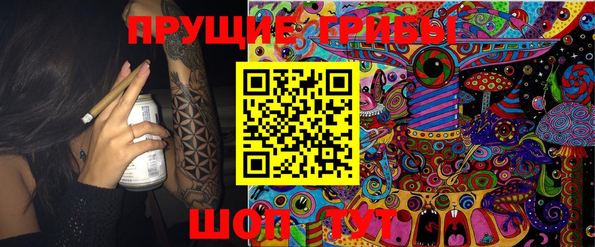 Псилоцибиновые грибы GOLDEN TEACHER Кольчугино