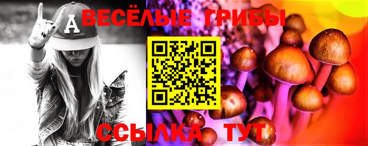 Псилоцибиновые грибы Cubensis  Вход с VPN  Галлюциногенные грибы Psilocybine cubensis  где продают   Кольчугино 